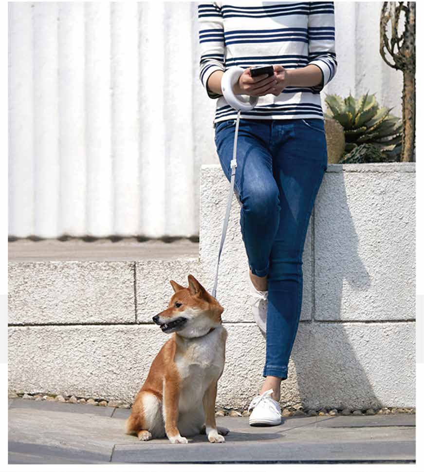 Retractable Dog Leash With LED, USB Rechargeable, One‑Hand Brake & Lock System for Small and Medium Dog Up to 40 LBS
